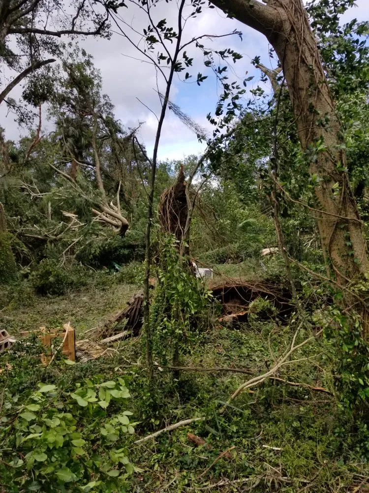 Expert yard maintenance in Tavares, FL by D B Potter Grounds Maintenance