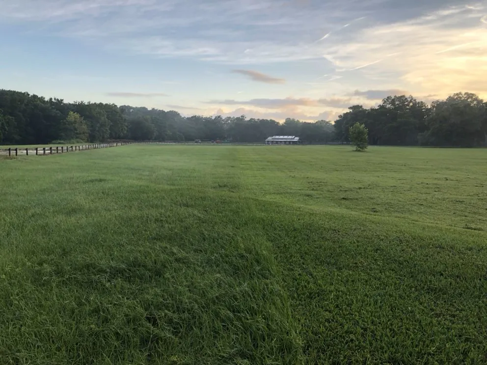 Custom lawn mowing service in Tavares, FL - D B Potter Grounds Maintenance