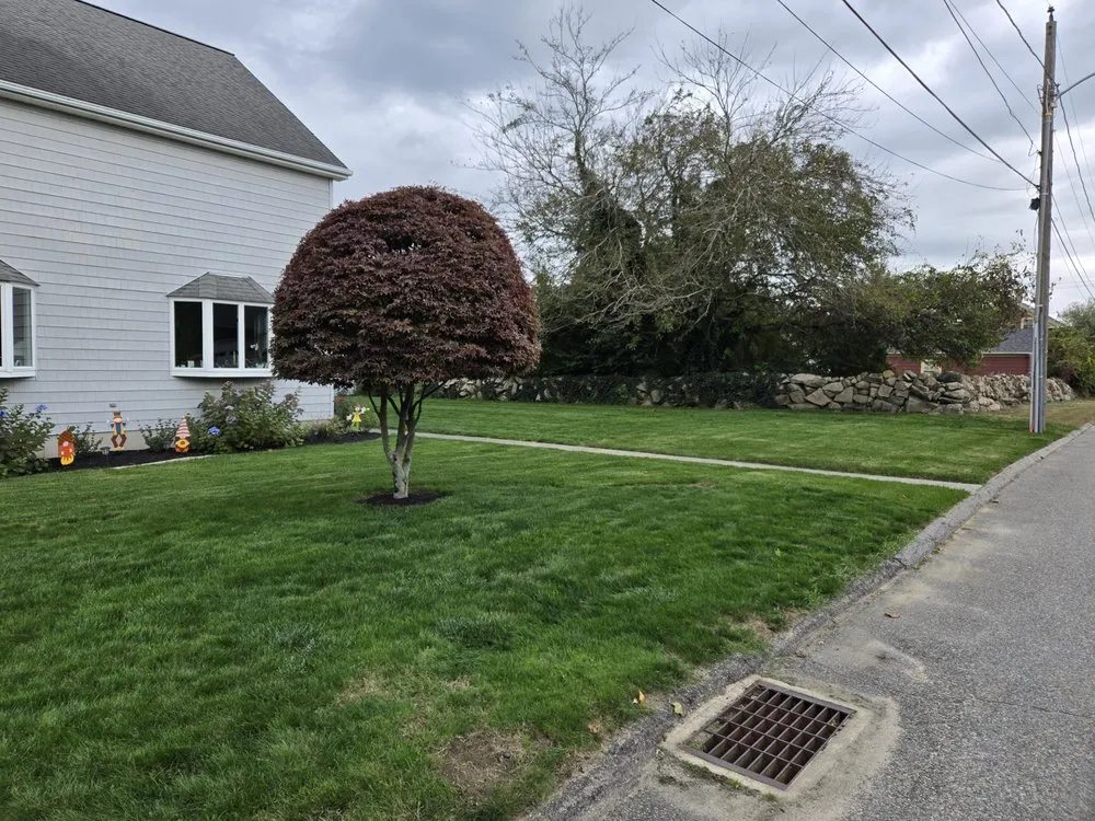 Top-rated yard cleanup service in Groton, CT by D B Stonework & Landscape Design