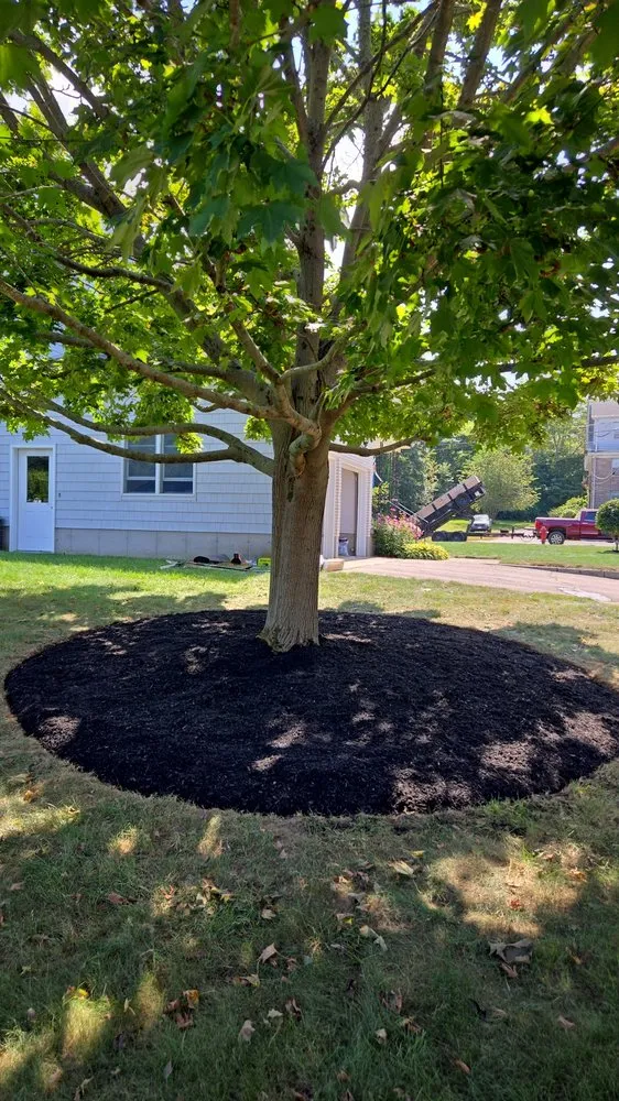 Custom lawn care service in Groton, CT by D B Stonework & Landscape Design