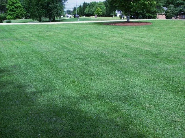 Local garden landscaping experts serving Longview, TX - D' Bear's Lawn Care Mowing Service