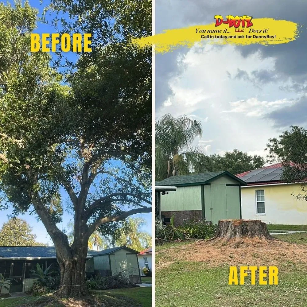 Local outdoor landscaping near you across Sebring, FL - D Boy