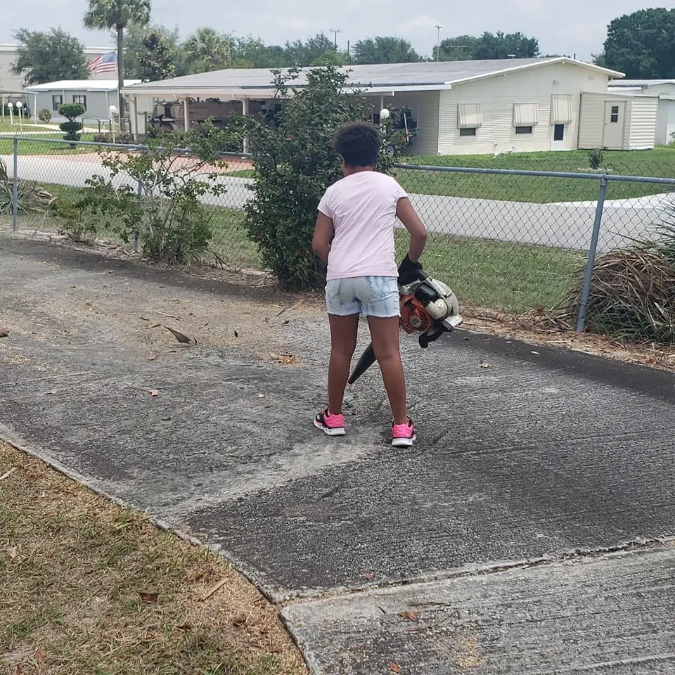 Affordable garden landscaping in Sebring, FL - D Brothers Services