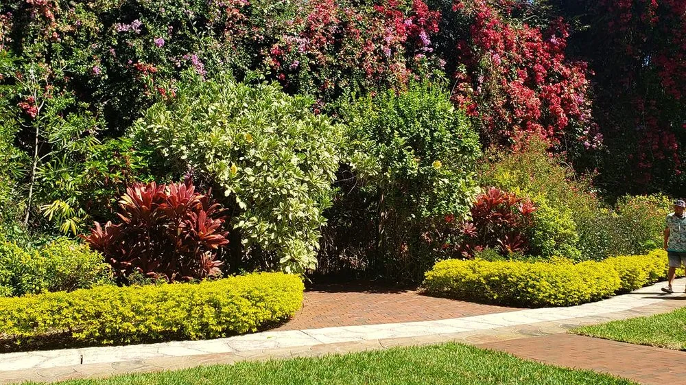 Trusted lawn care service with custom design across Sebring, FL - D Brothers Services