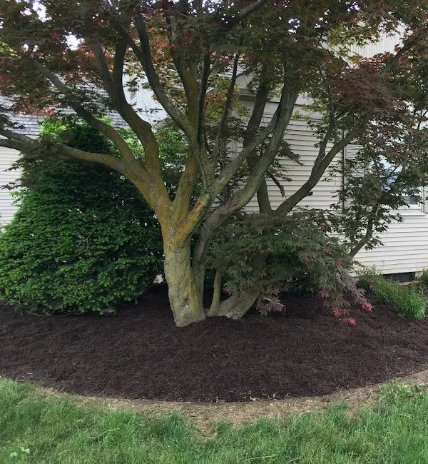 Expert landscape design for homes in Lapeer, MI by D C Landscaping & Lawncare
