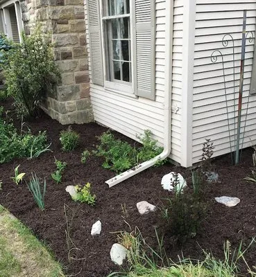 D C Landscaping & Lawncare
