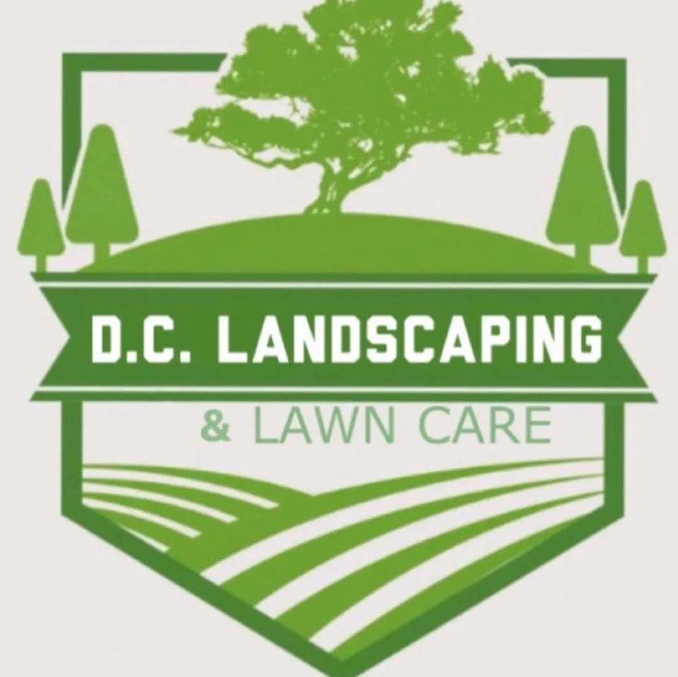 Professional lawn care service in Peotone, IL - D C Landscaping