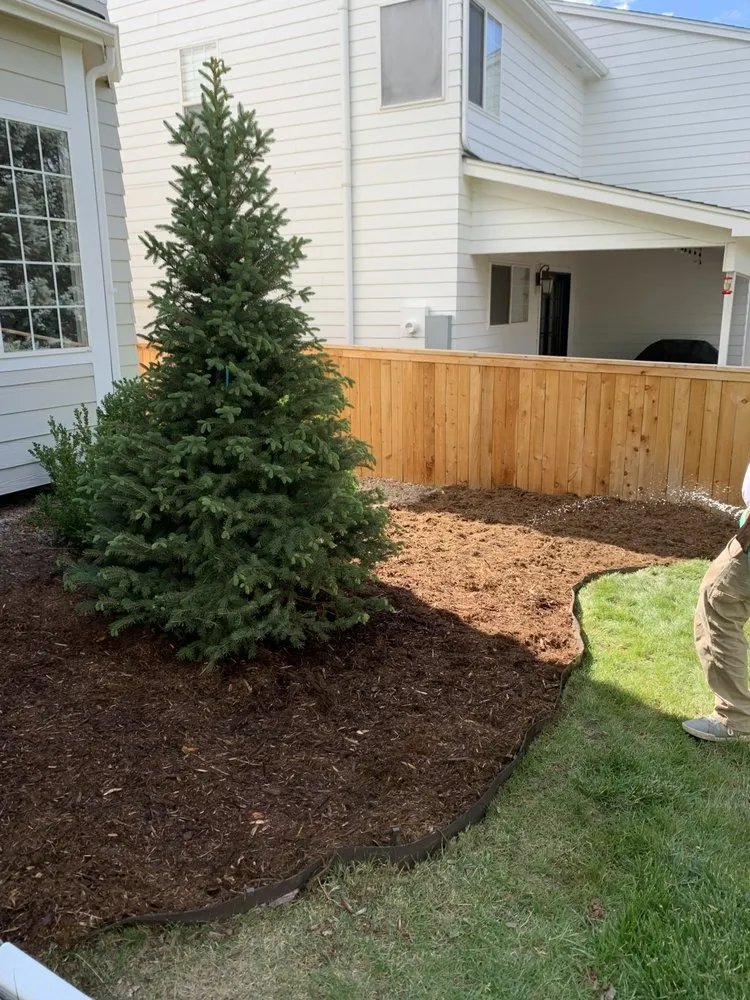 Professional residential landscaping in Westminster, CO by D Colors Concept