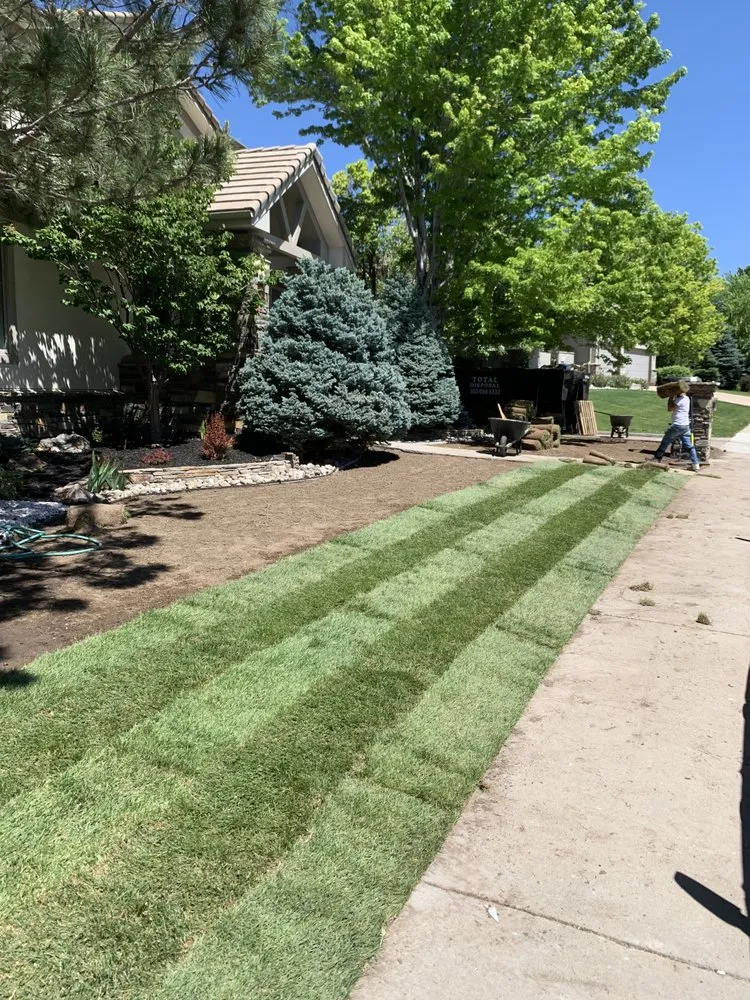 Professional residential landscaping with custom design in Westminster, CO by D Colors Concept