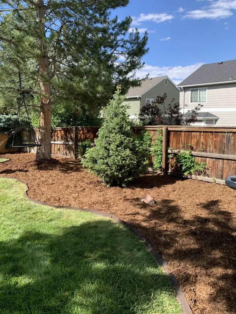 Reliable lawn care service in Westminster, CO by D Colors Concept