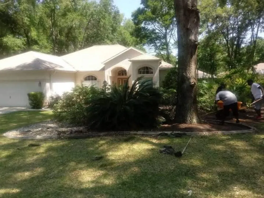 Local lawn mowing service experts serving Ocala, FL - D Cox Landscaping