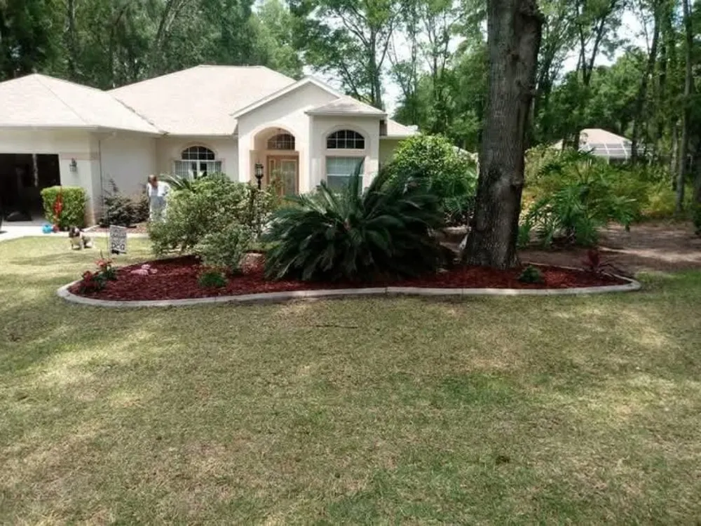 Expert lawn care service experts serving Ocala, FL - D Cox Landscaping