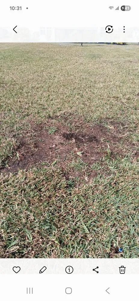 Affordable lawn care service experts serving Ocala, FL - D Cox Landscaping