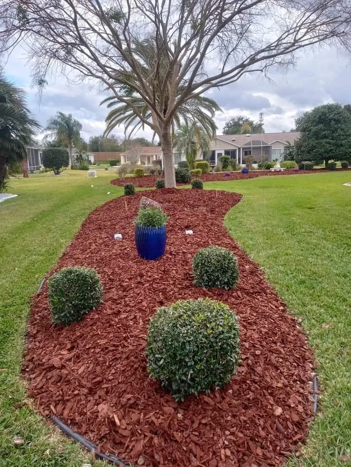 Trusted residential landscaping experts serving Ocala, FL - D Cox Landscaping