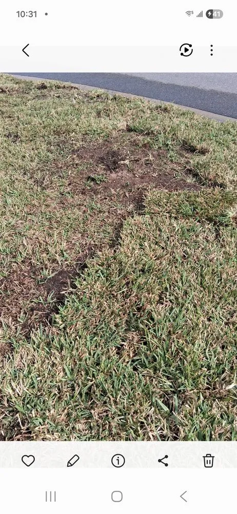 Affordable garden landscaping in Ocala, FL - D Cox Landscaping