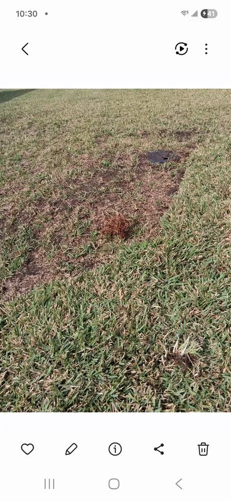 Affordable landscape design for outdoor upgrades across Ocala, FL - D Cox Landscaping