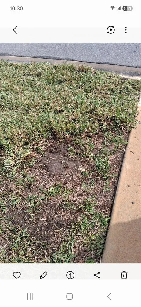 Trusted outdoor landscaping in Ocala, FL - D Cox Landscaping