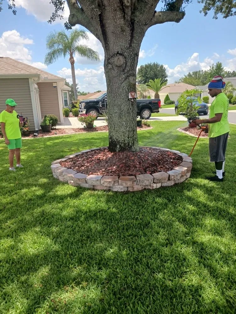 Custom residential landscaping experts serving Ocala, FL - D Cox Landscaping