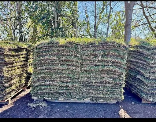 D Cox Landscaping Logo