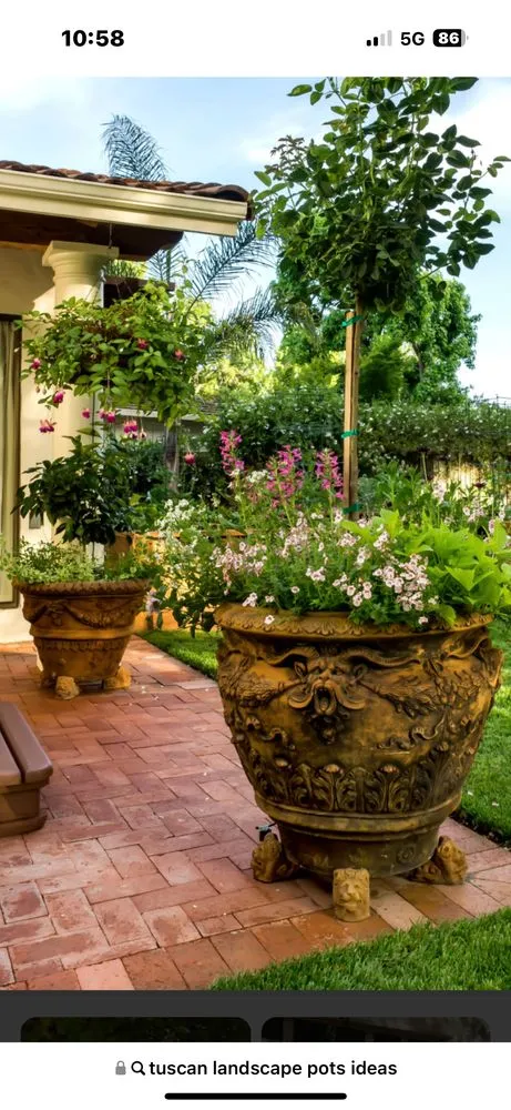 Top-rated lawn care service experts serving Yucaipa, CA - D Dominguez Landscape Construction