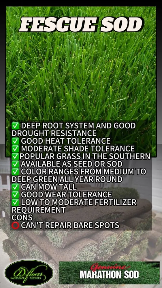 Custom landscape installation in Irvine, CA by D Flores Landscape