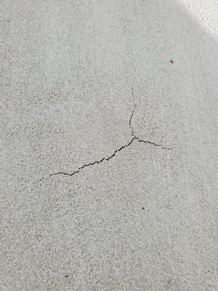 Reliable yard cleanup service for residential properties across Irvine, CA - D Flores Landscape