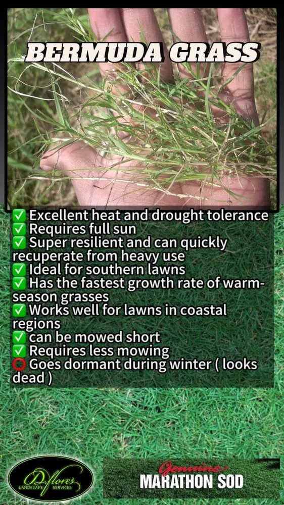 Top-rated landscape installation for residential properties across Irvine, CA - D Flores Landscape