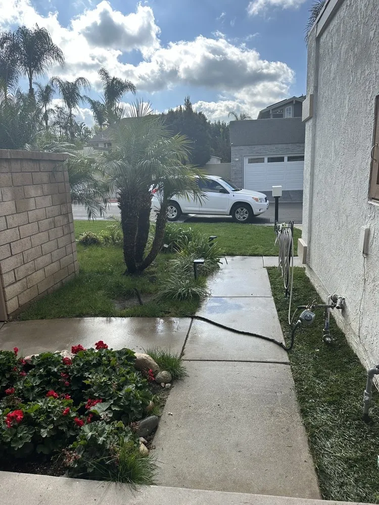 Local outdoor landscaping for beautiful yards across Irvine, CA - D Flores Landscape