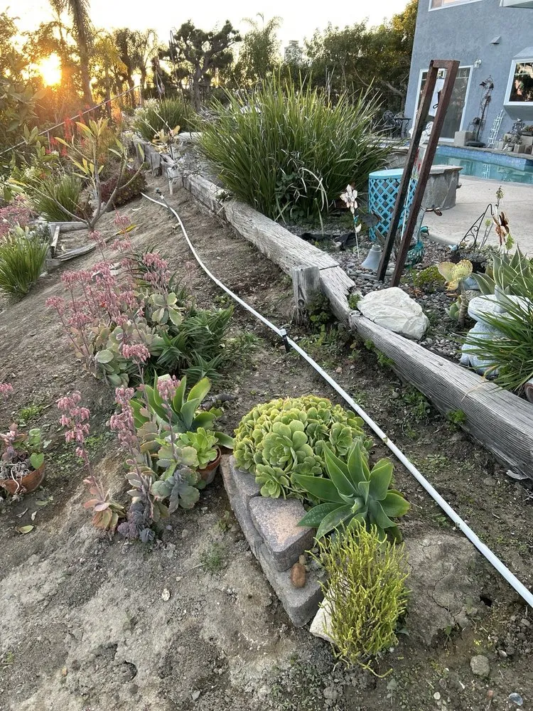 Local yard maintenance in Irvine, CA - D Flores Landscape