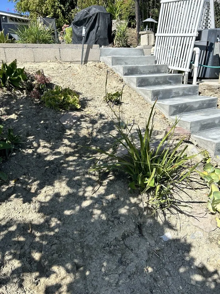 Trusted residential landscaping in Irvine, CA by D Flores Landscape