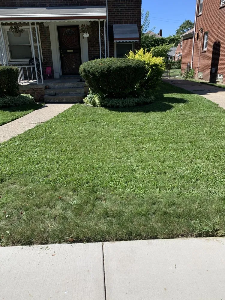 Local garden landscaping in Detroit, MI by D Ford’s landscaping