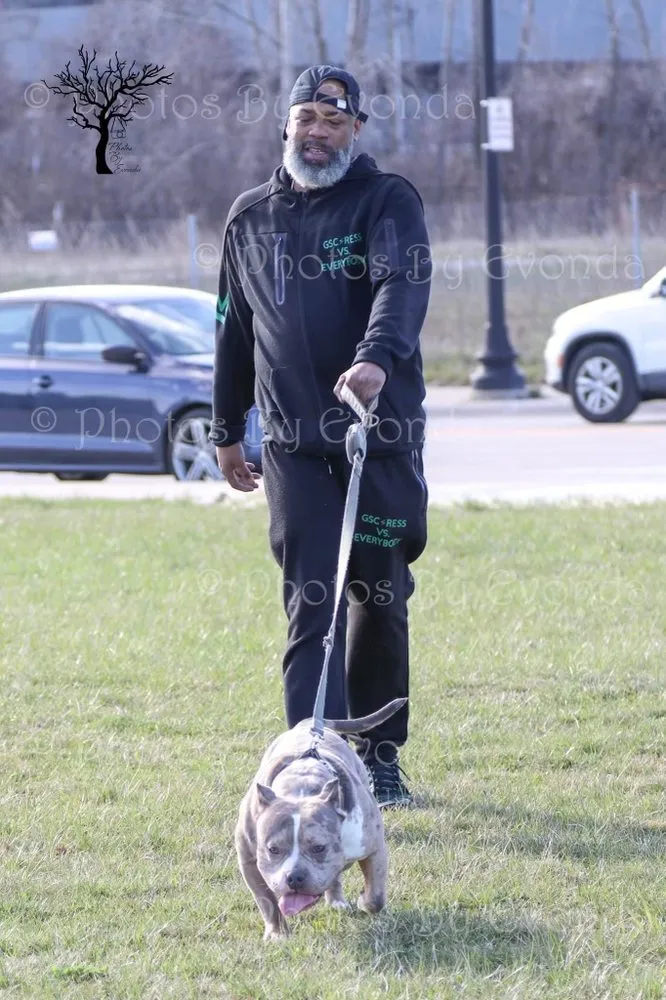 Trusted outdoor landscaping in Detroit, MI by D Ford’s landscaping