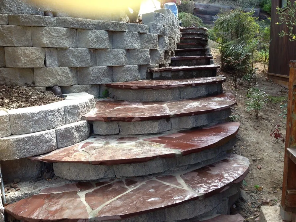 Local yard maintenance in Richmond, CA - D Garcia's Landscaping