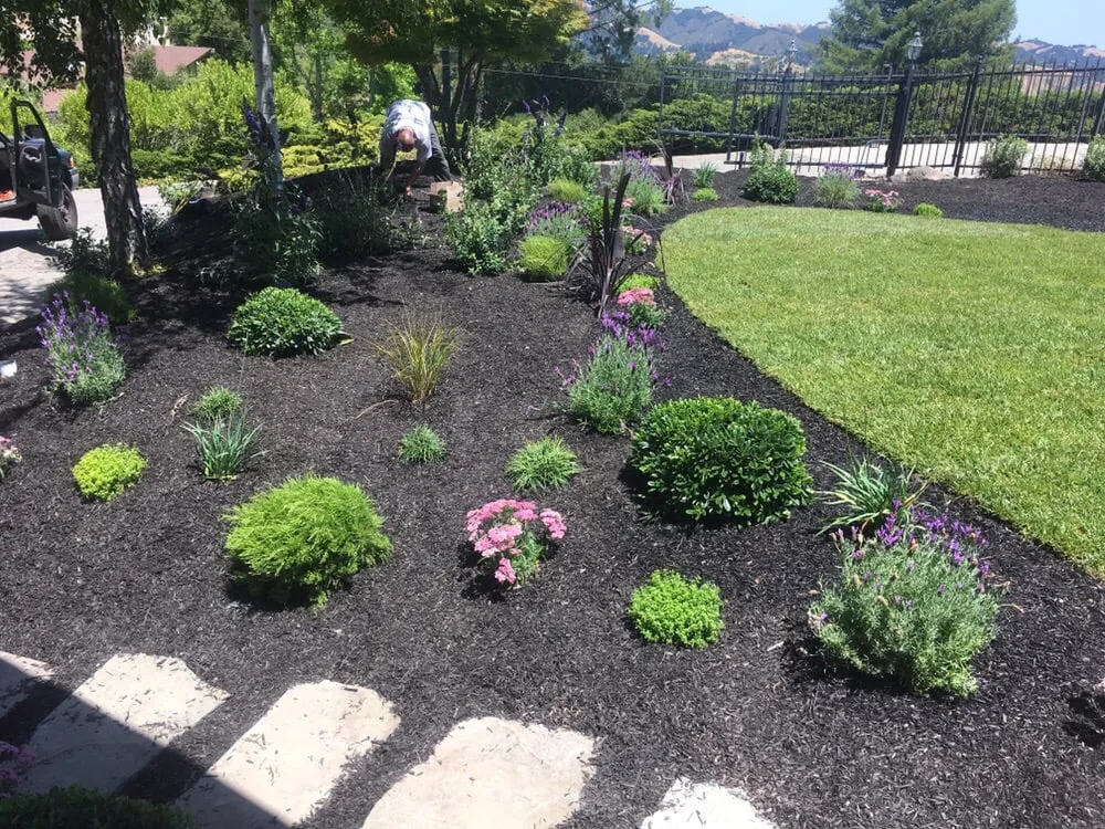 Local lawn care service in Richmond, CA - D Garcia's Landscaping