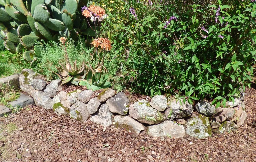 Custom landscaping services near you across Richmond, CA - D Garcia's Landscaping