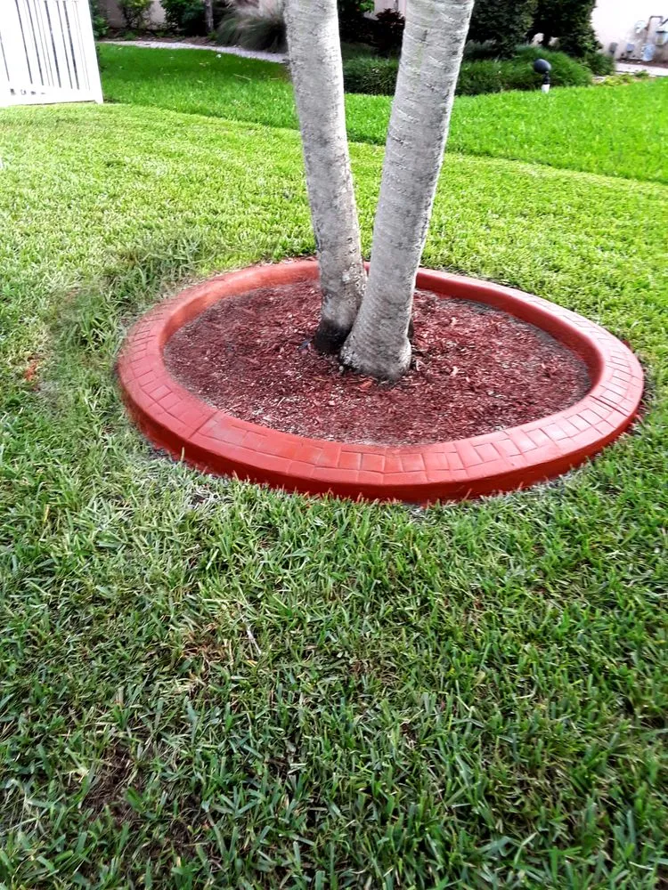 Expert lawn care service in Miami Gardens, FL - D Gonzalez Landscaping