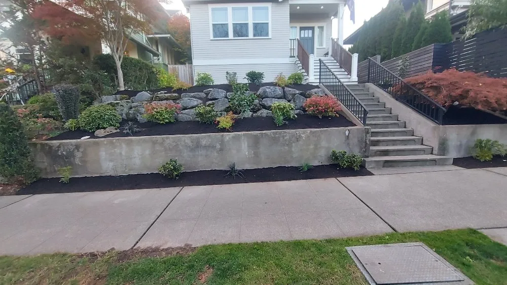 Trusted yard cleanup service in SeaTac, WA - D Green Quality
