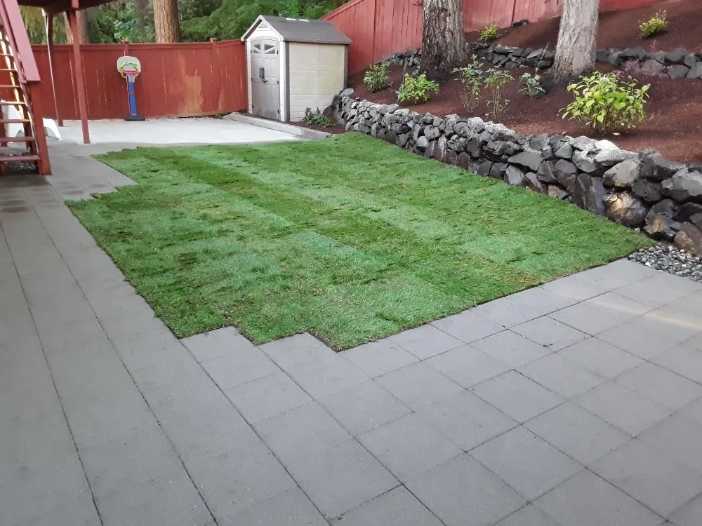 Professional yard maintenance experts serving SeaTac, WA - D Green Quality