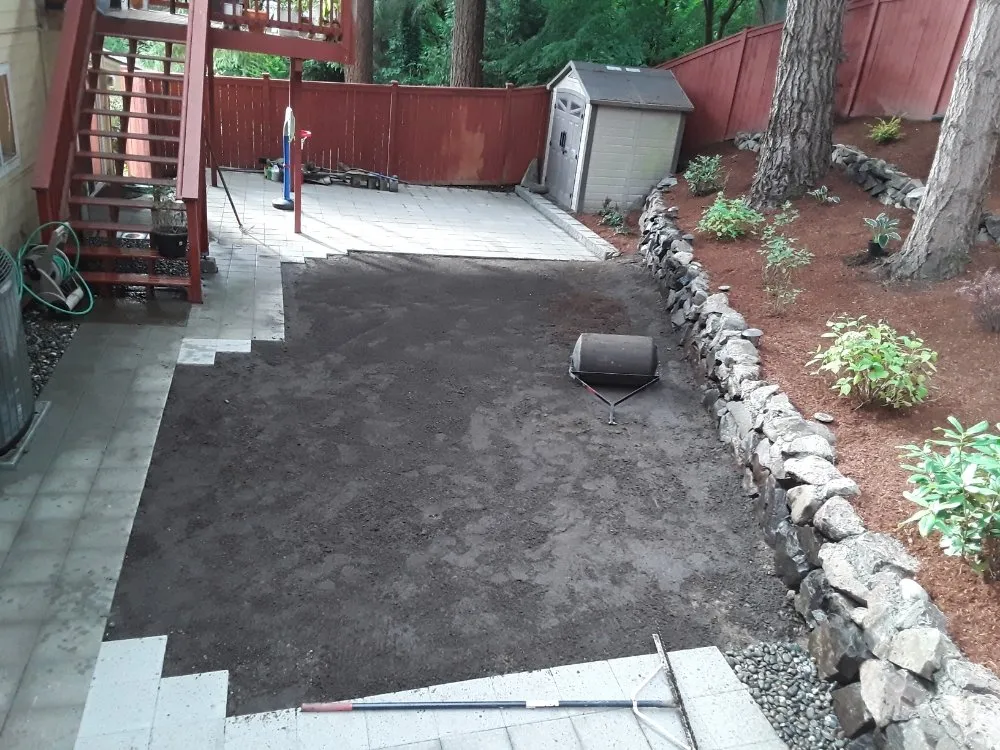 Professional yard maintenance in SeaTac, WA by D Green Quality
