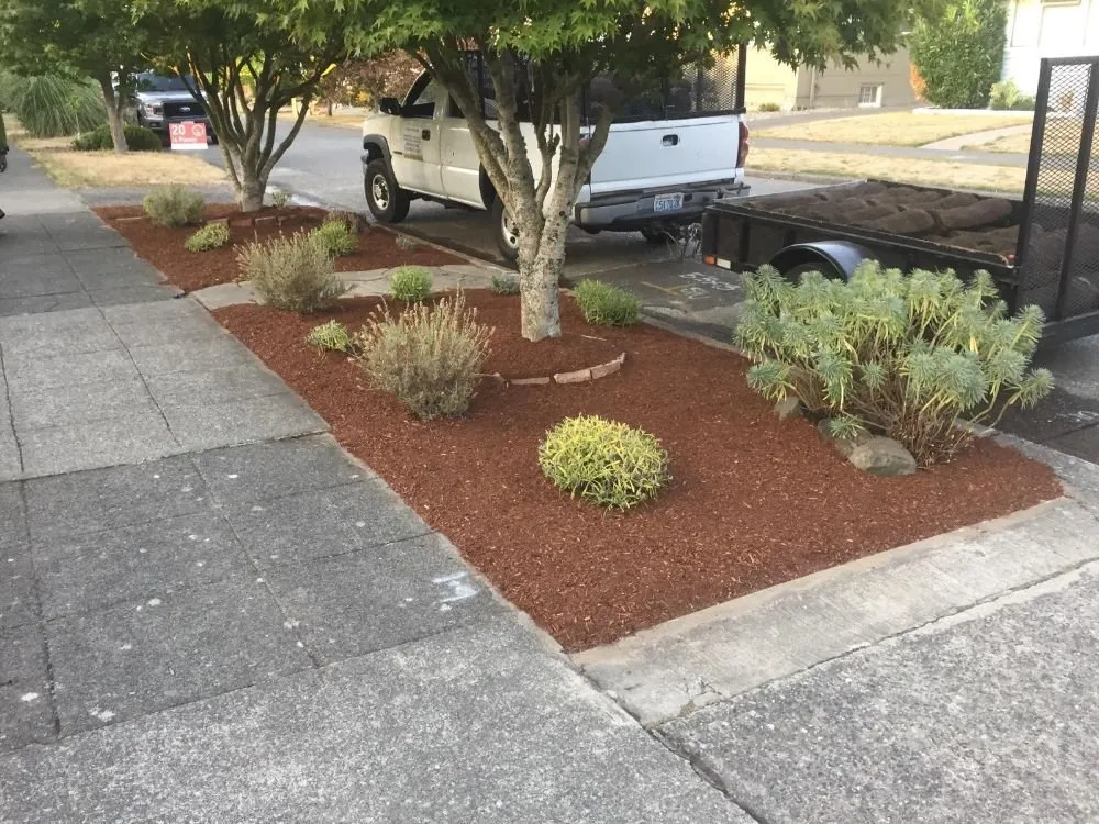 Expert residential landscaping in SeaTac, WA - D Green Quality
