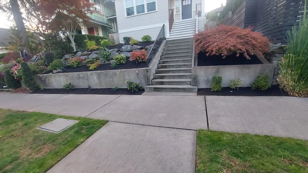 Reliable lawn mowing service in SeaTac, WA - D Green Quality