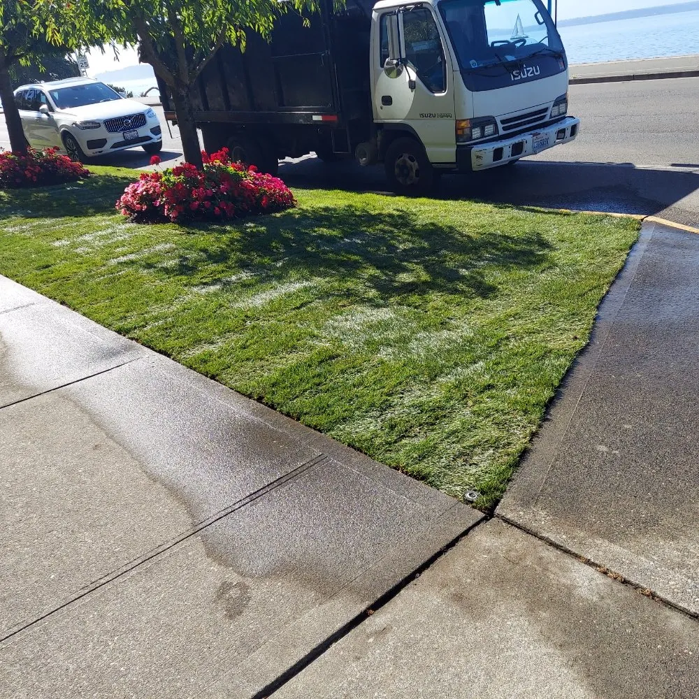 Reliable landscaping services in SeaTac, WA - D Green Quality