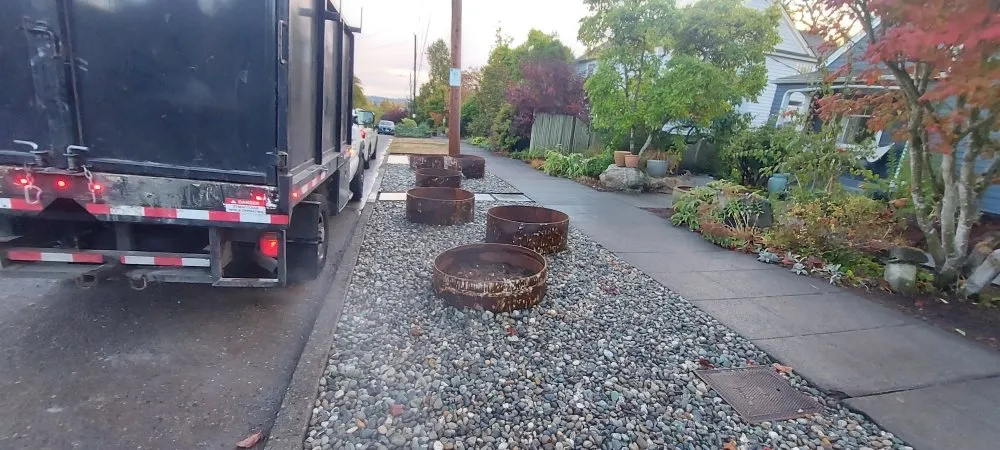 Professional yard cleanup service experts serving SeaTac, WA - D Green Quality