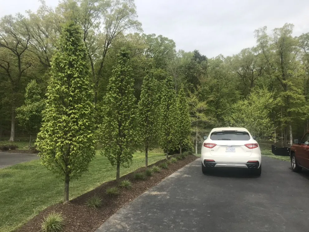 Custom landscape installation for homes across Gainesville, VA - D H Custom Scapes