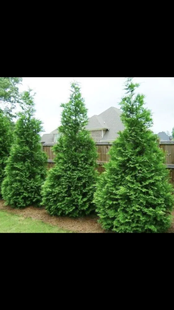 Affordable landscape installation for homes across Gainesville, VA - D H Custom Scapes