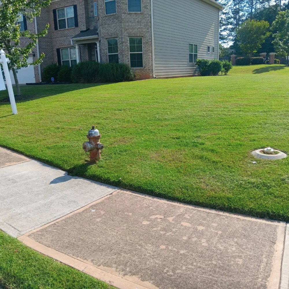 Reliable lawn mowing service near you across Union City, GA - D Hayes Services