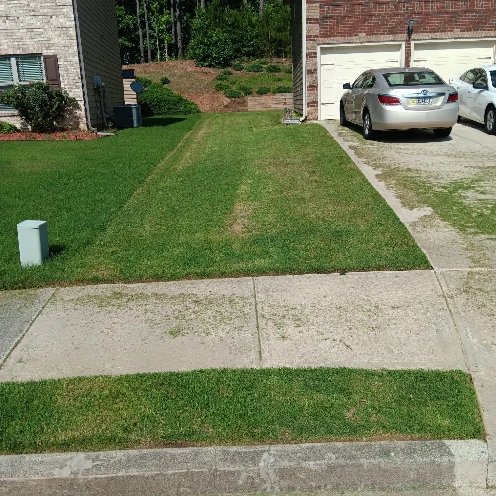 Expert yard cleanup service in Union City, GA - D Hayes Services