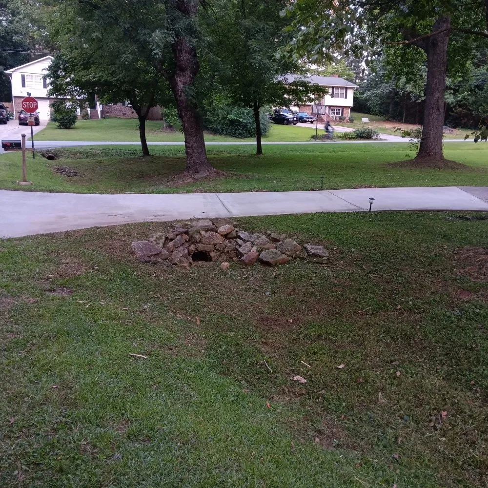 Expert yard cleanup service experts serving Union City, GA - D Hayes Services