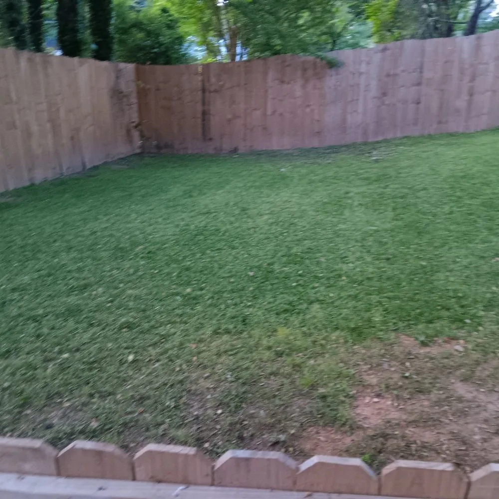 Affordable landscaping services in Union City, GA by D Hayes Services