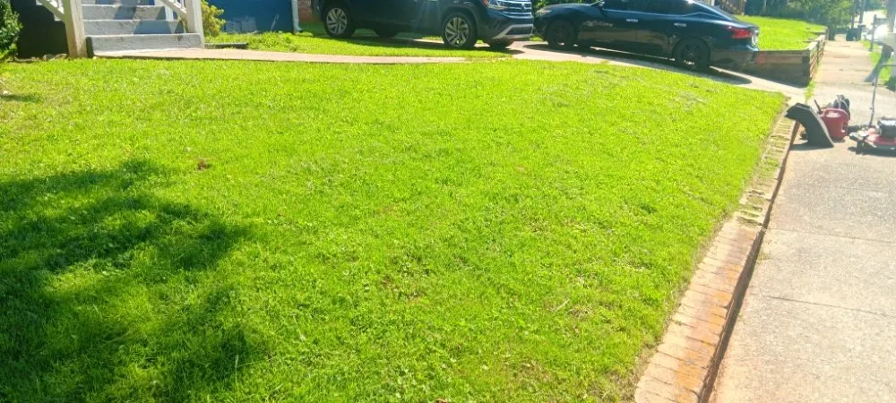 Trusted landscaping services for year-round maintenance in Union City, GA by D Hayes Services